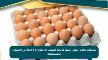 تحديثات هامة اليوم.. سعر كرتونة البيض الأربعاء 27-8-2025 في الأسواق للمستهلك